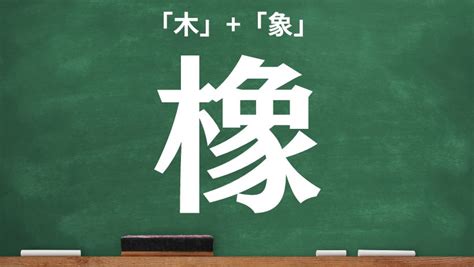 木象|木へんに象で「橡」は何て読む？